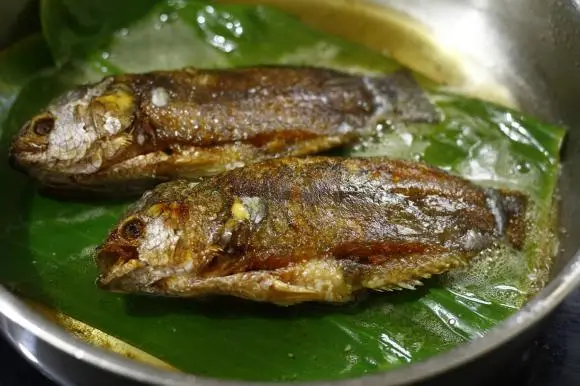 lot la chuoi khi ran ca